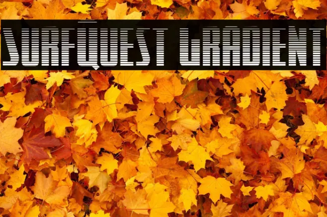 SurfQuest Gradient Example 1