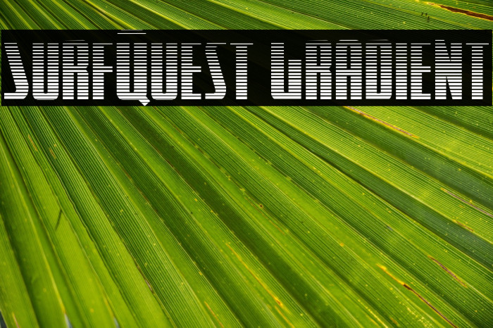 SurfQuest Gradient Example 2