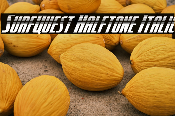 SurfQuest Halftone Italic Example 1