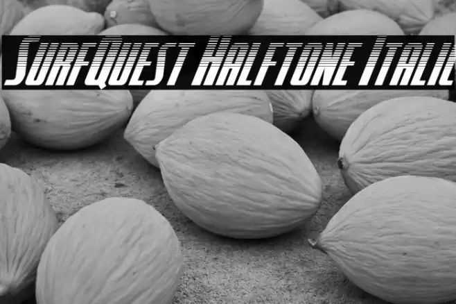 SurfQuest Halftone Italic Font examples