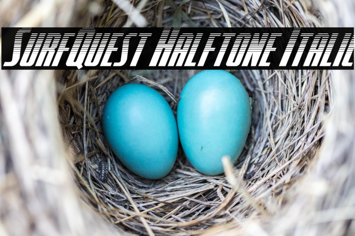 SurfQuest Halftone Italic Example 2