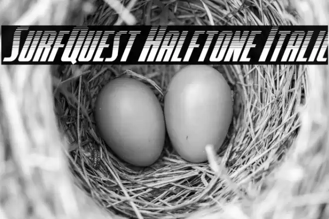 SurfQuest Halftone Italic Font examples