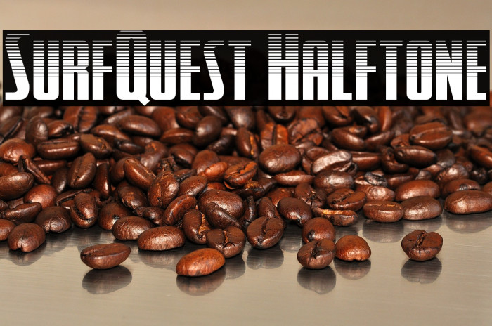 SurfQuest Halftone Example 2