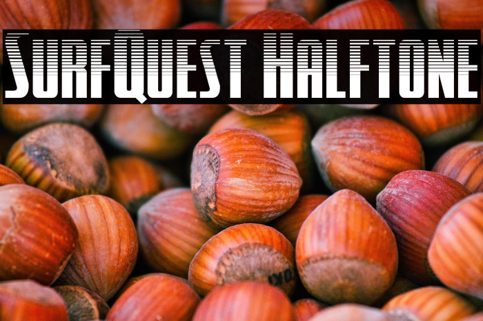 SurfQuest Halftone Example 3