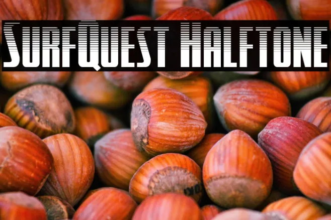 SurfQuest Halftone Example 3