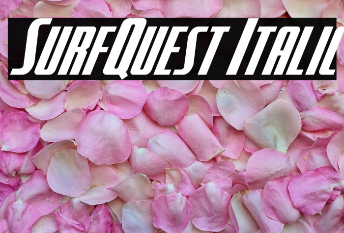 SurfQuest Italic Example 3