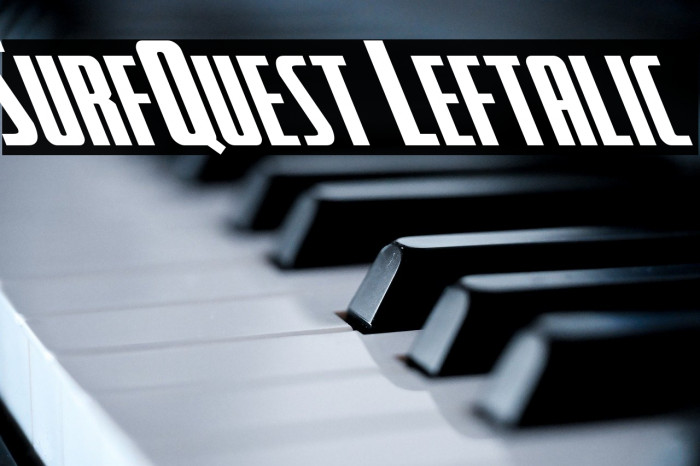 SurfQuest Leftalic Example 1