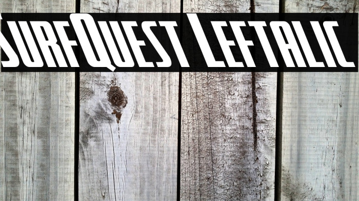 SurfQuest Leftalic Example 2