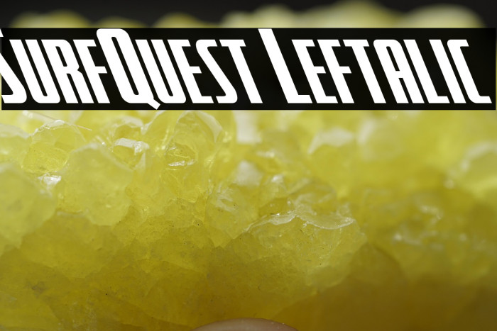 SurfQuest Leftalic Example 3