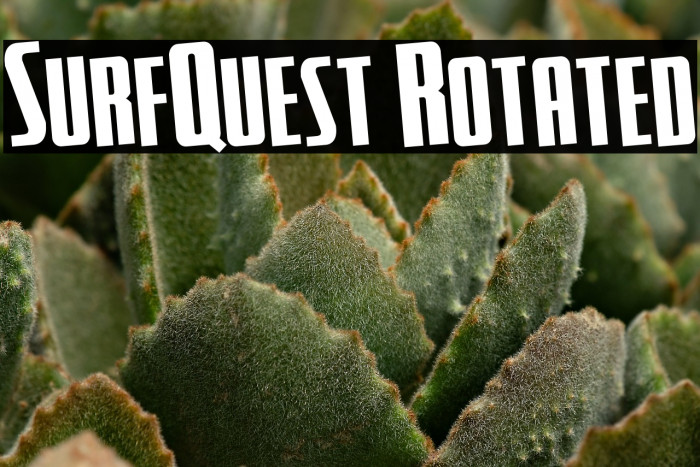 SurfQuest Rotated Example 1