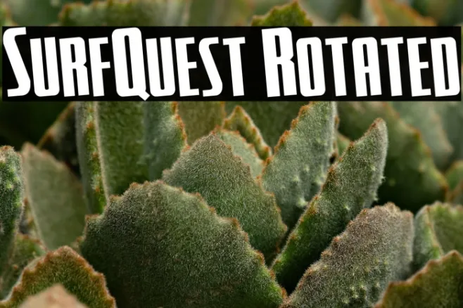SurfQuest Rotated Example 1