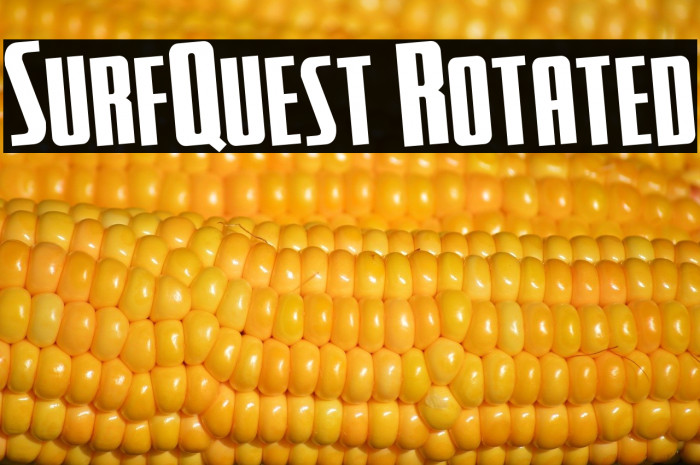 SurfQuest Rotated Example 2