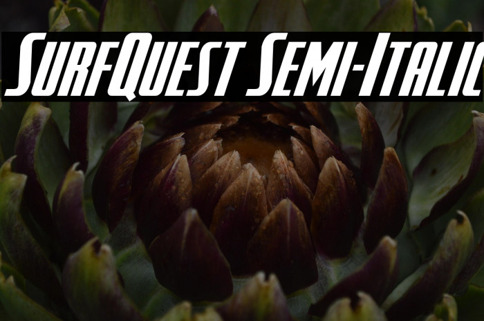 SurfQuest Semi-Italic Example 1