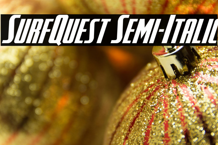 SurfQuest Semi-Italic Example 2