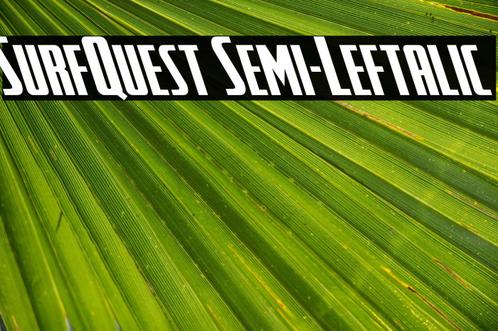 SurfQuest Semi-Leftalic Example 2