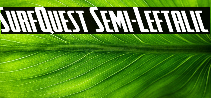 SurfQuest Semi-Leftalic Example 3