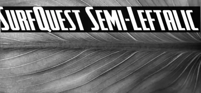 SurfQuest Semi-Leftalic Font examples