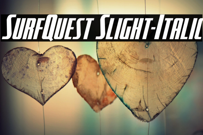 SurfQuest Slight-Italic Example 1