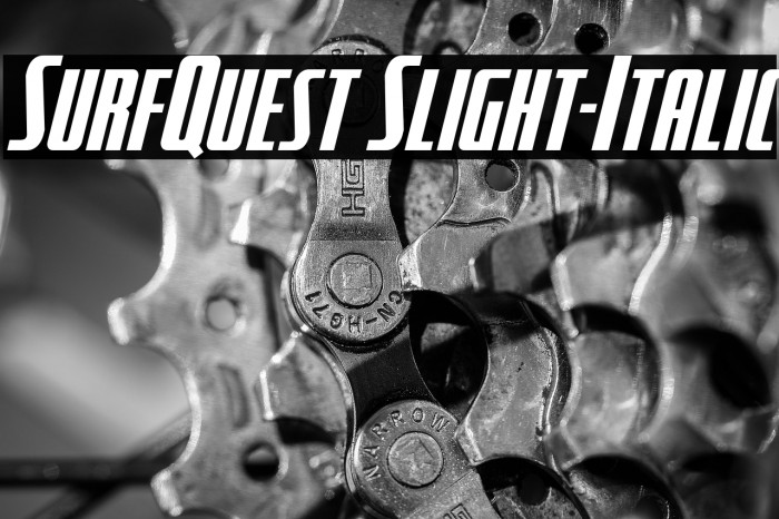 SurfQuest Slight-Italic Example 3