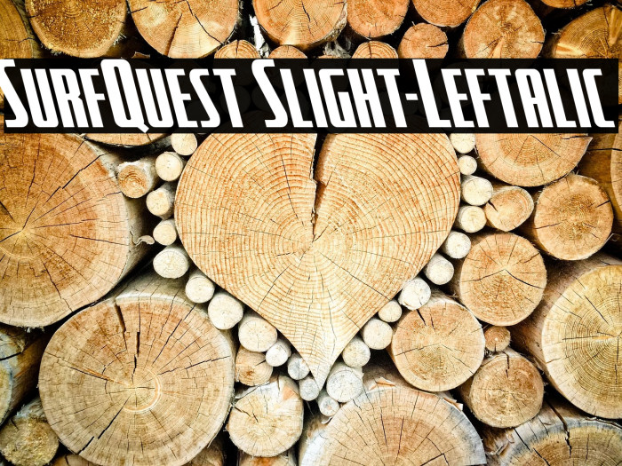 SurfQuest Slight-Leftalic Example 1