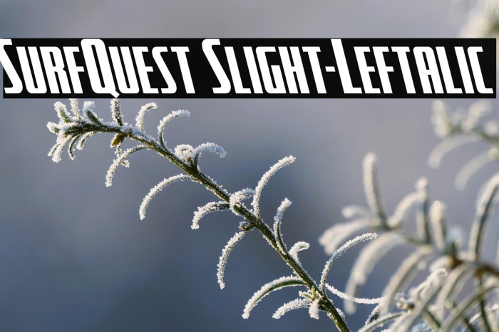 SurfQuest Slight-Leftalic Example 2