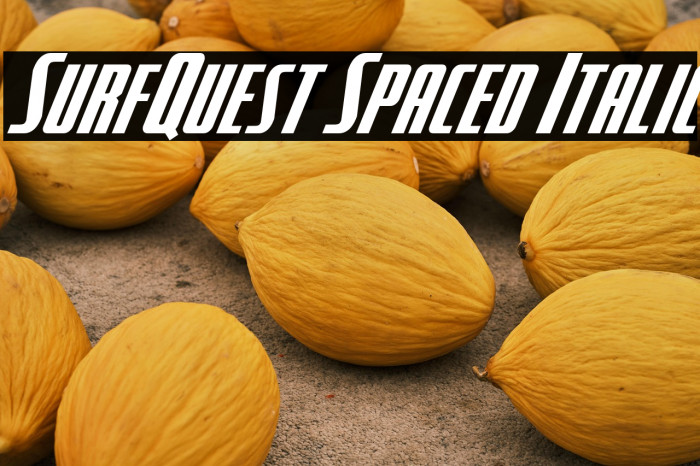 SurfQuest Spaced Italic Example 3