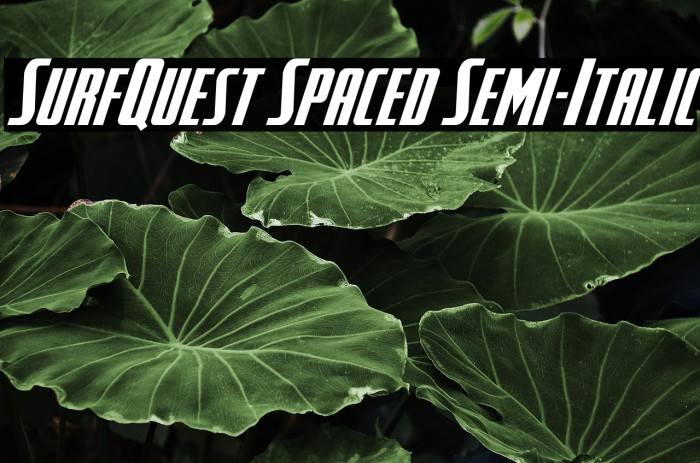 SurfQuest Spaced Semi-Italic Example 1
