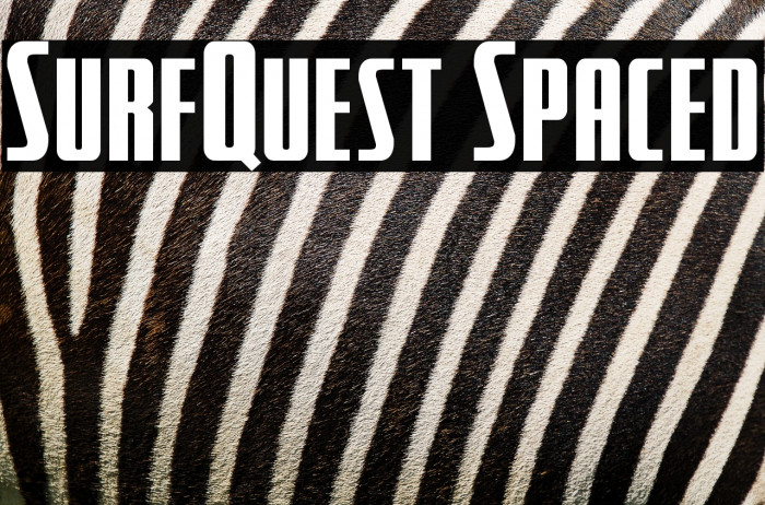 SurfQuest Spaced Example 1