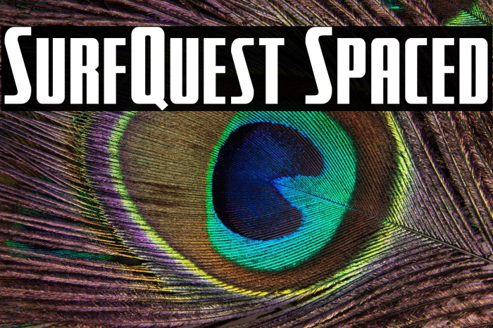 SurfQuest Spaced Example 2