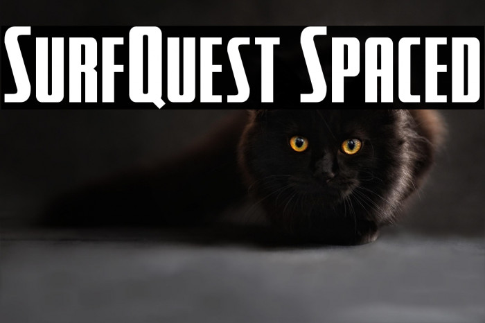 SurfQuest Spaced Example 3