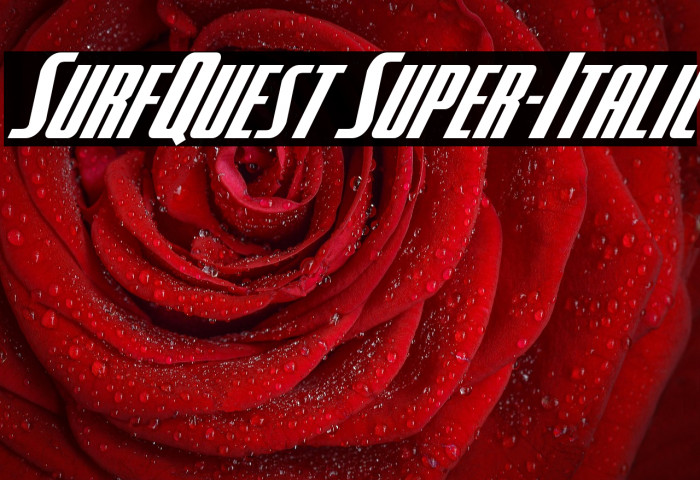 SurfQuest Super-Italic Example 1