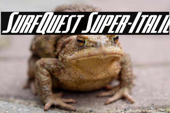 SurfQuest Super-Italic Example 3