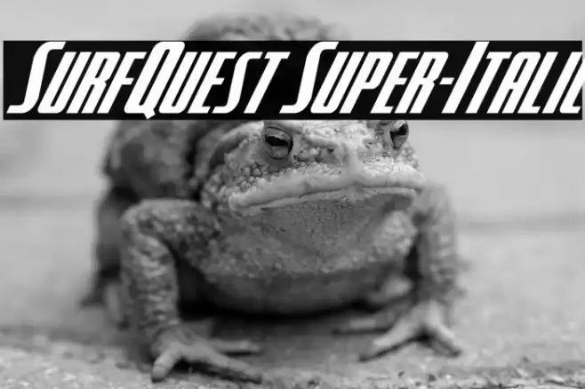 SurfQuest Super-Italic Font examples