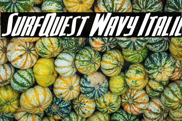 SurfQuest Wavy Italic Example 2