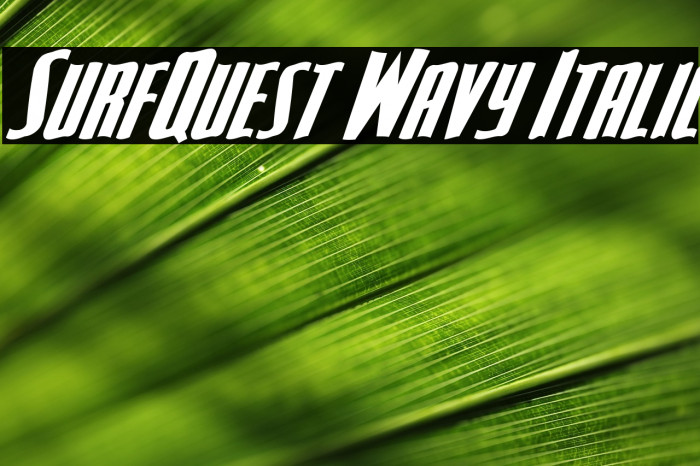 SurfQuest Wavy Italic Example 3