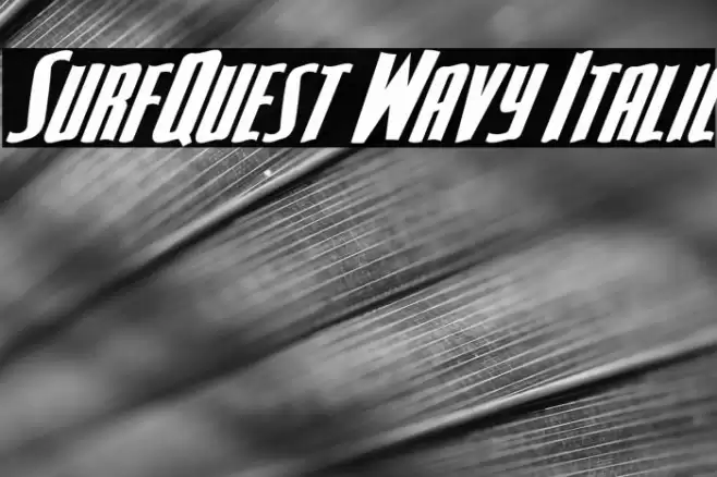 SurfQuest Wavy Italic Font examples