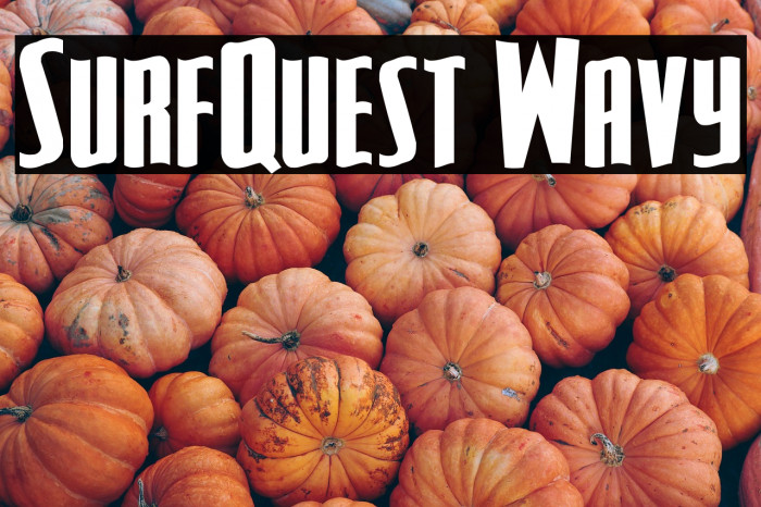 SurfQuest Wavy Example 1