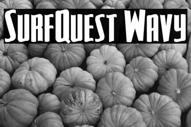 SurfQuest Wavy Font examples