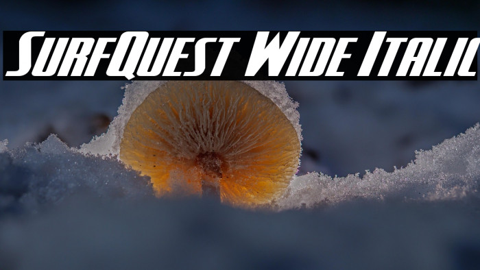 SurfQuest Wide Italic Example 1