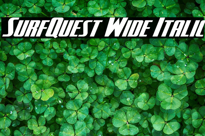 SurfQuest Wide Italic Example 3