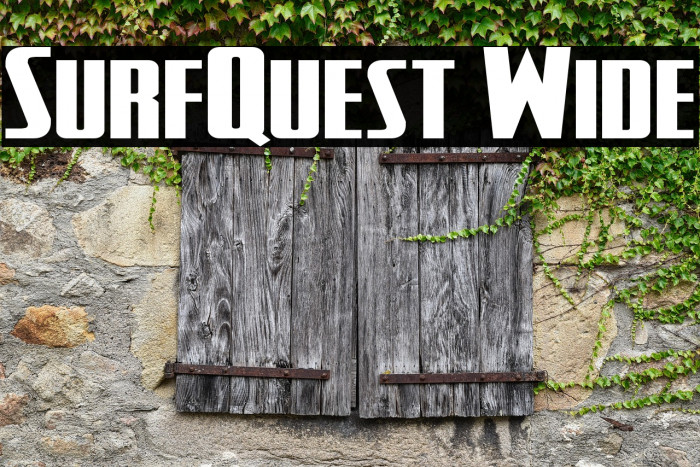 SurfQuest Wide Example 3