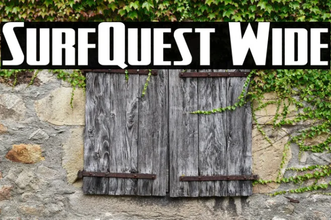 SurfQuest Wide Example 3
