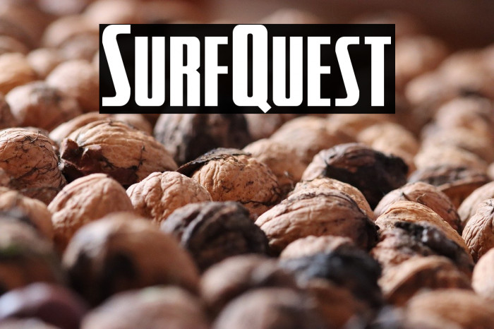 SurfQuest Example 1