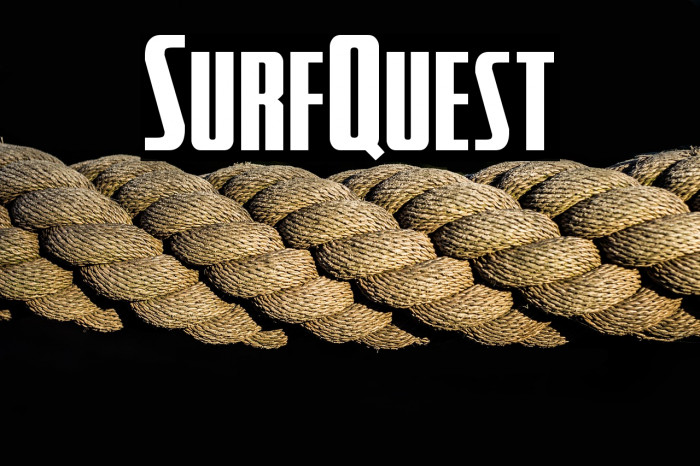 SurfQuest Example 2