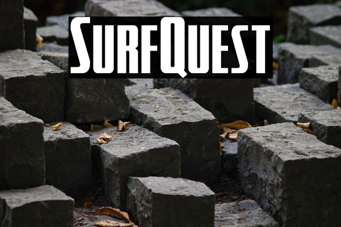 SurfQuest Example 3