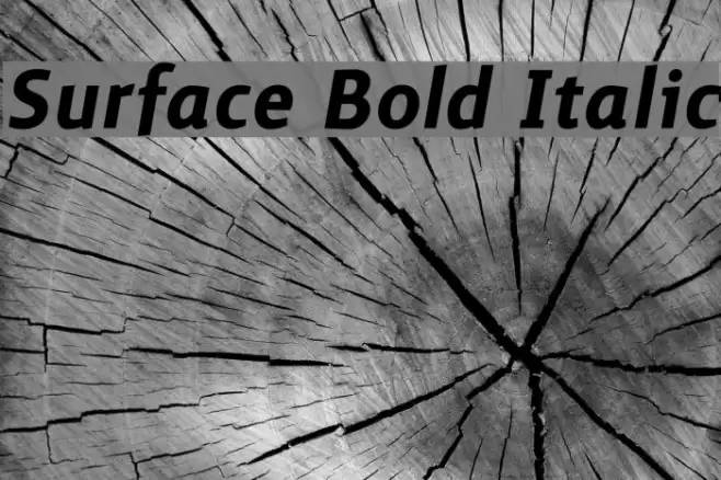 Surface Bold Italic Font examples