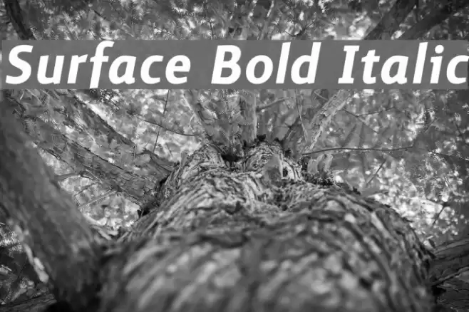 Surface Bold Italic Font examples