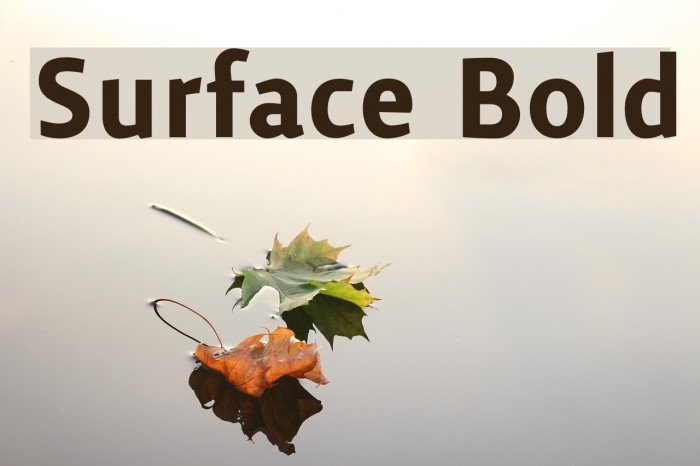 Surface Bold Font examples