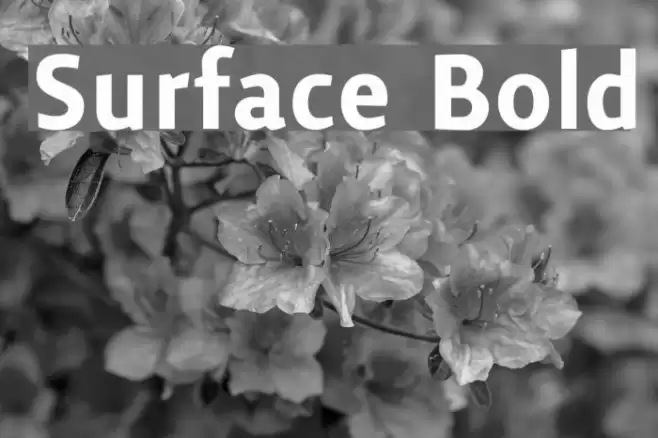 Surface Bold Font examples
