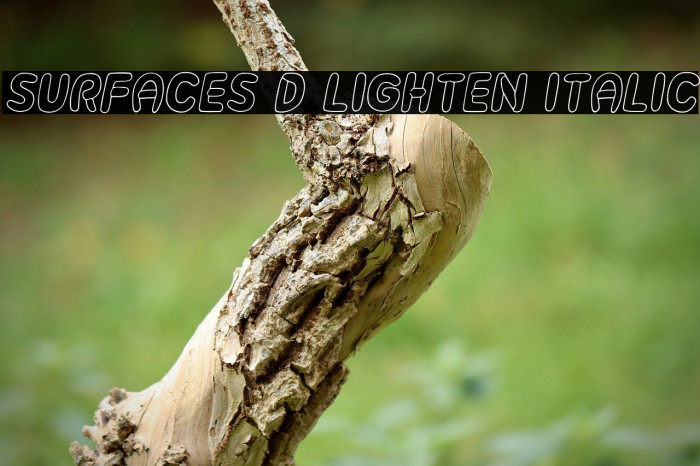 Surfaces 3D Lighten Italic Font examples
